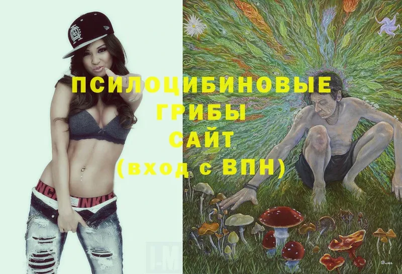 Галлюциногенные грибы Psilocybe  Горняк 